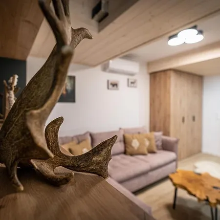 Aparteo Domek Rogata Chata Chalet Kościelisko